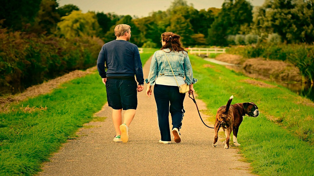 Why Strolling is the Best Exercise for Everyone