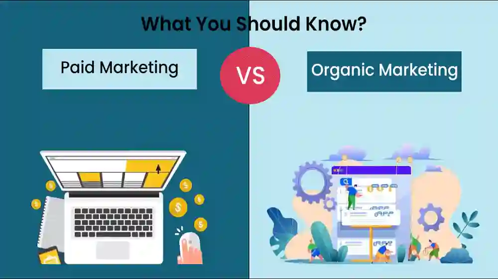 Paid vs. Organic Marketing: Which Works Best in 2025?