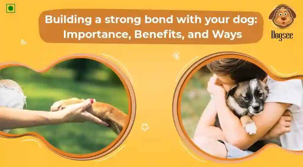  How to Bond with Your New Pet and Build a Strong Relationship