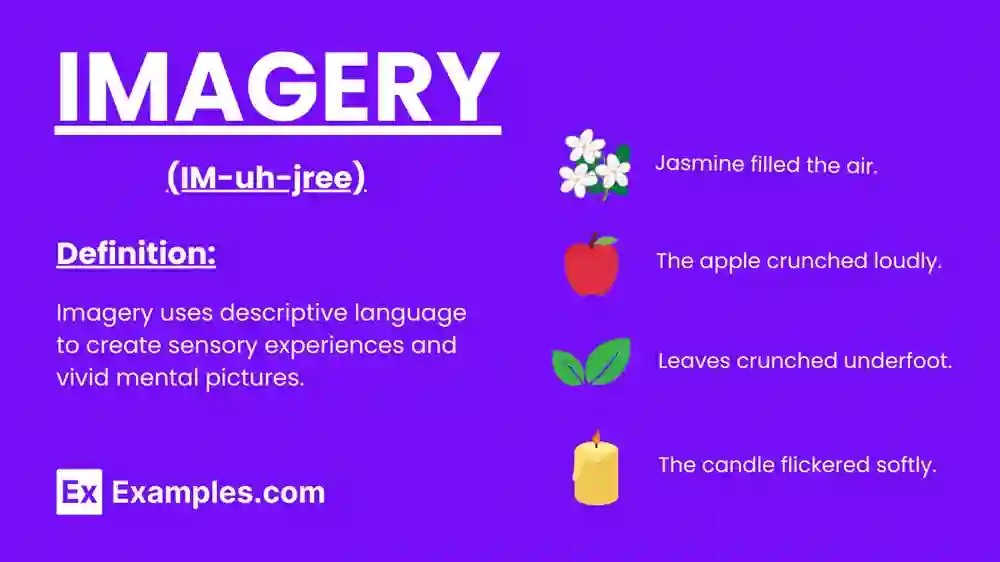 Imagery Examples – Learn With These Vivid Writing Tips